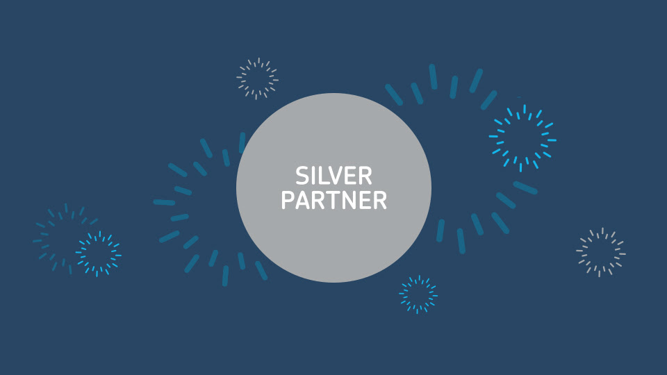 Silver partner award